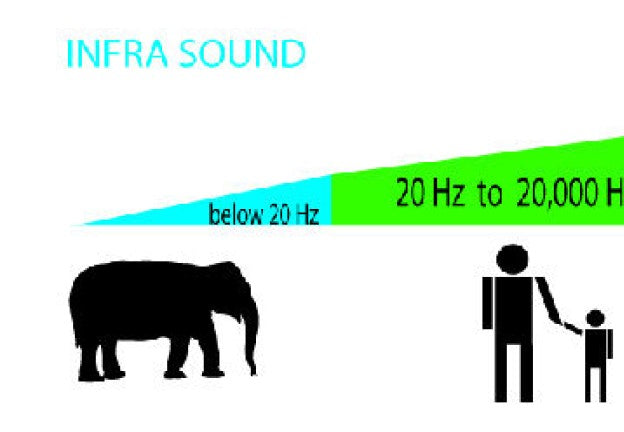 Bigfoot and Infrasound?