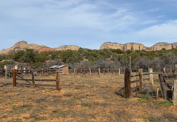 The Day I Saw Bigfoot: The Bradshaw Ranch Encounter