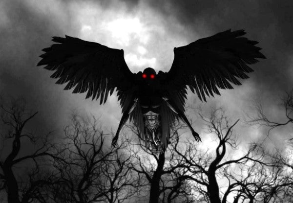 What is the Mothman?